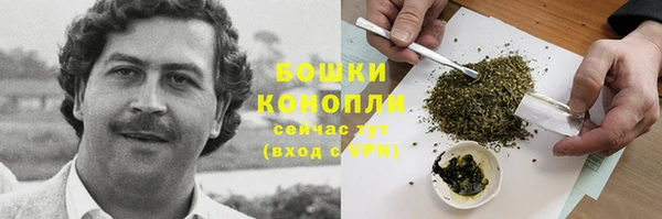стаф Майский