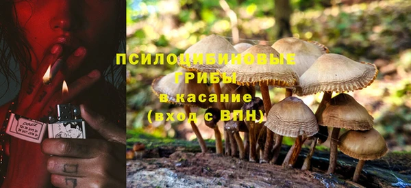 ешки Магас