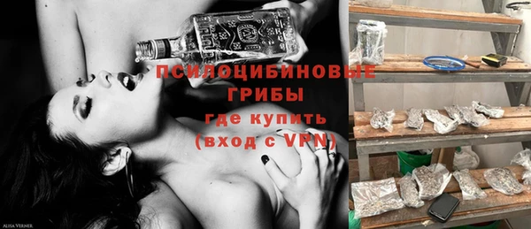 стаф Майский